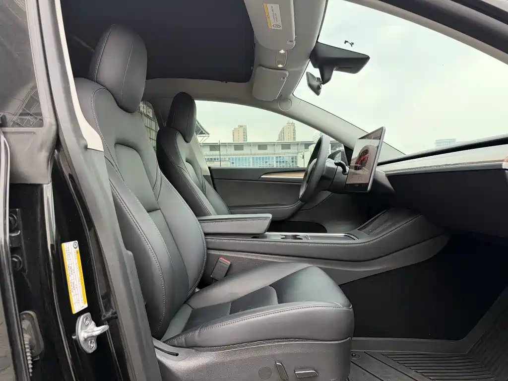 Tesla Model Y — миниатюра 9
