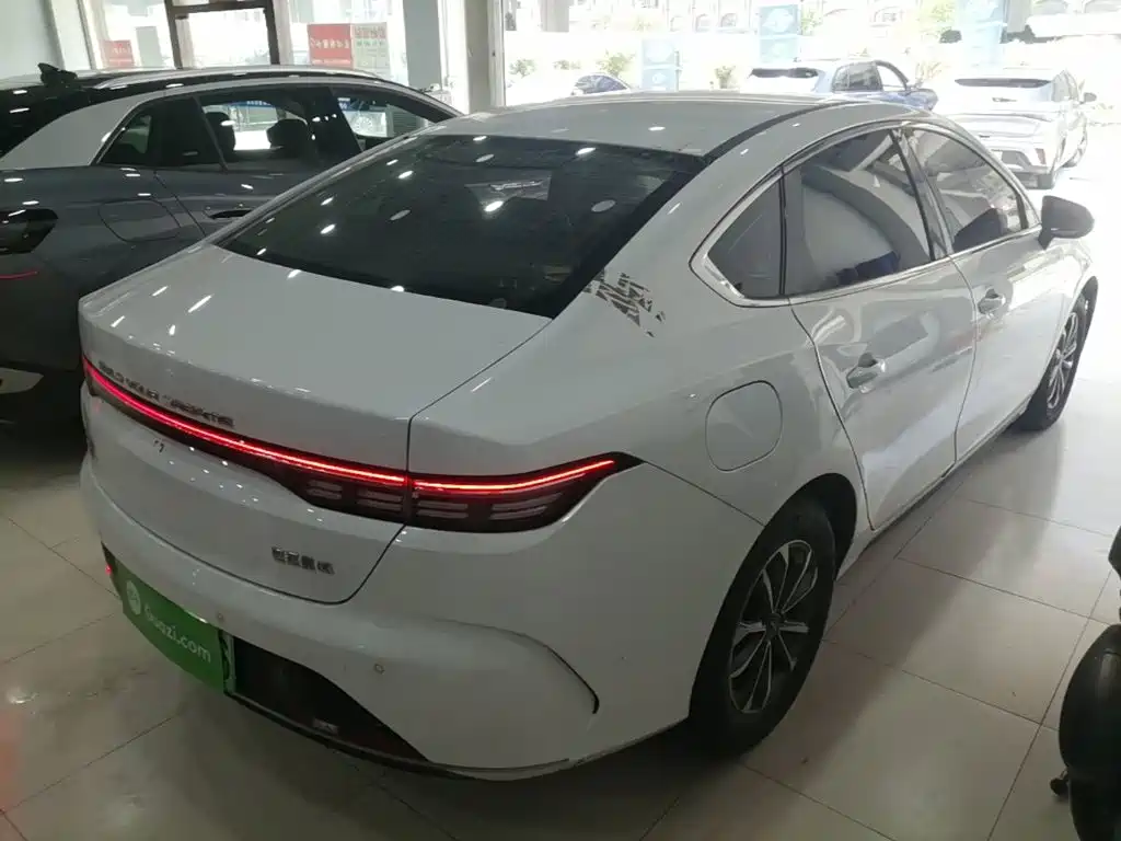 BYD Destroyer 05 2023 Champion DM-i 55KM Luxury