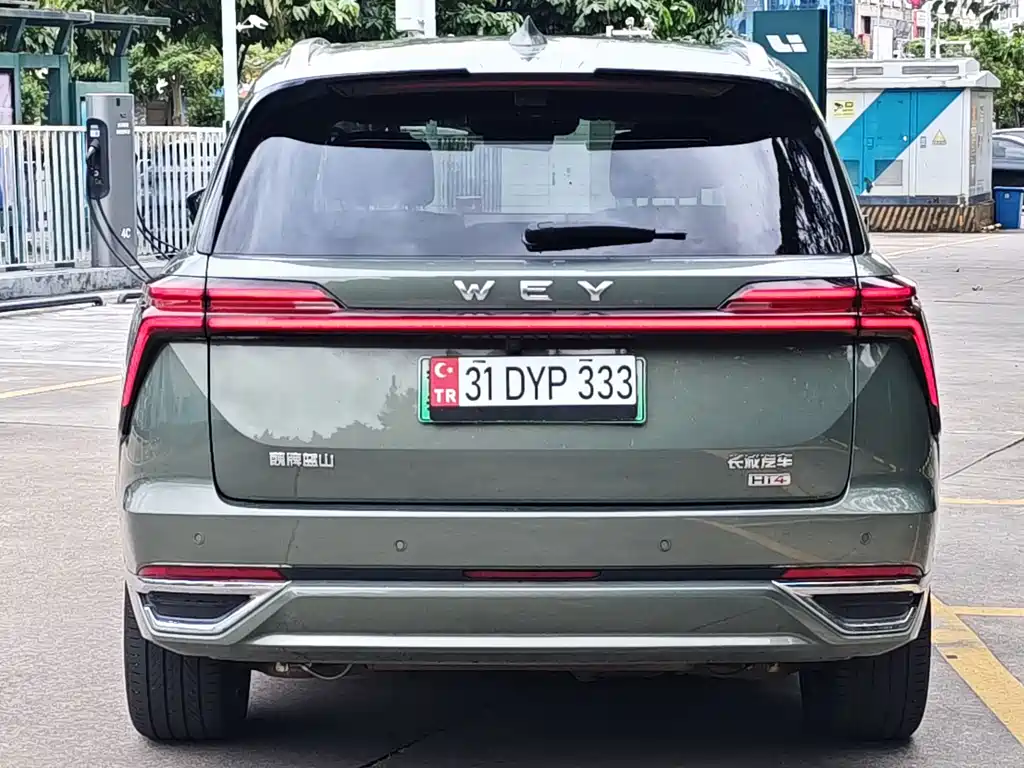 Wey Wey Lanshan — миниатюра 8
