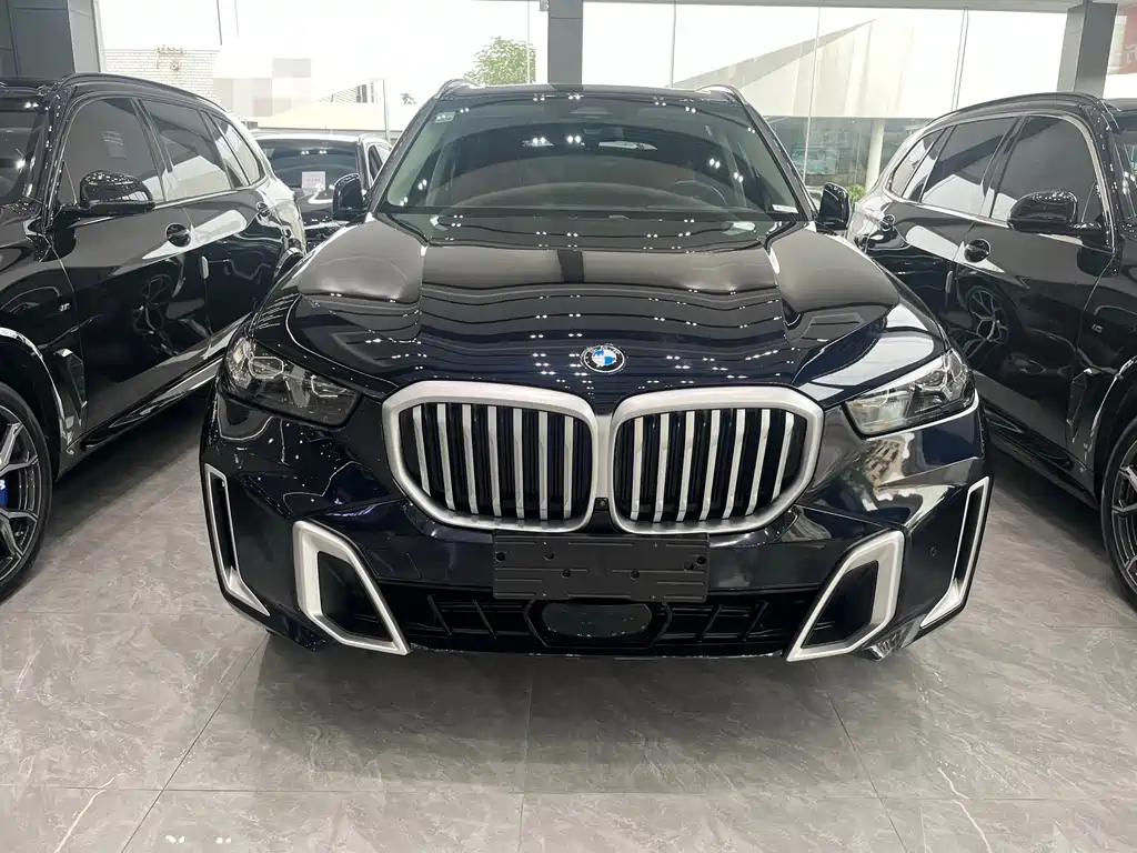 BMW X5 — миниатюра 2