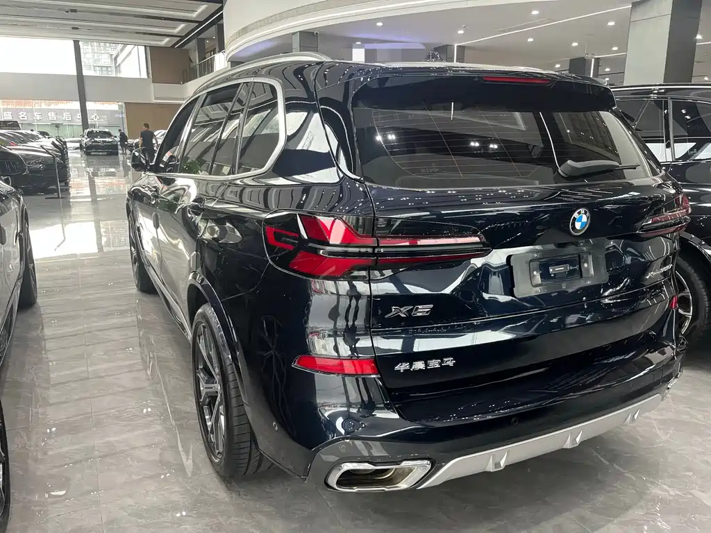 BMW X5 — миниатюра 9
