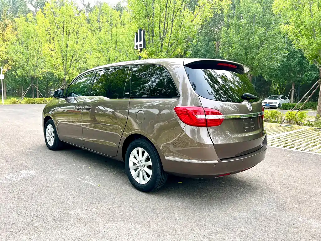 Buick GL8 — миниатюра 5