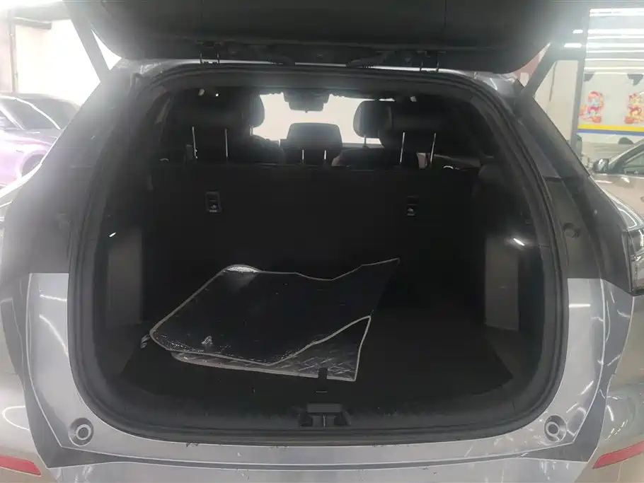 BYD Sea Lion 06 06 2025 EV 605 Pro