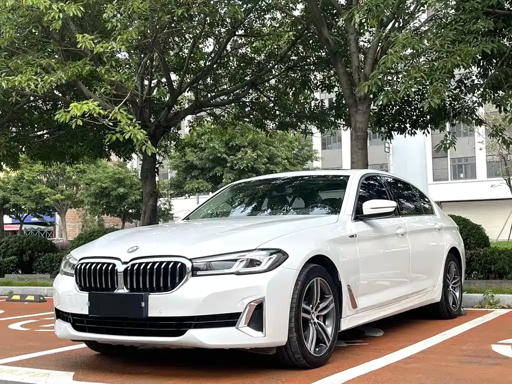 BMW 5 Series 5 2021 530Li Lead Luxury
