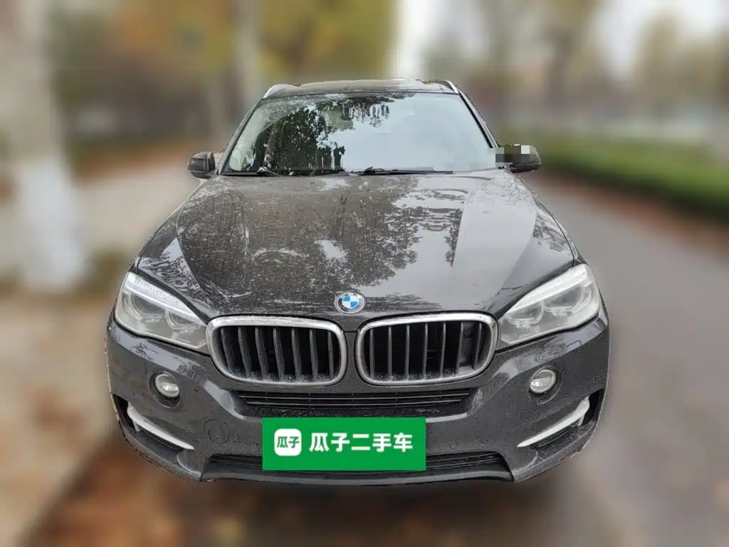 BMW X5 (Import) — миниатюра 24
