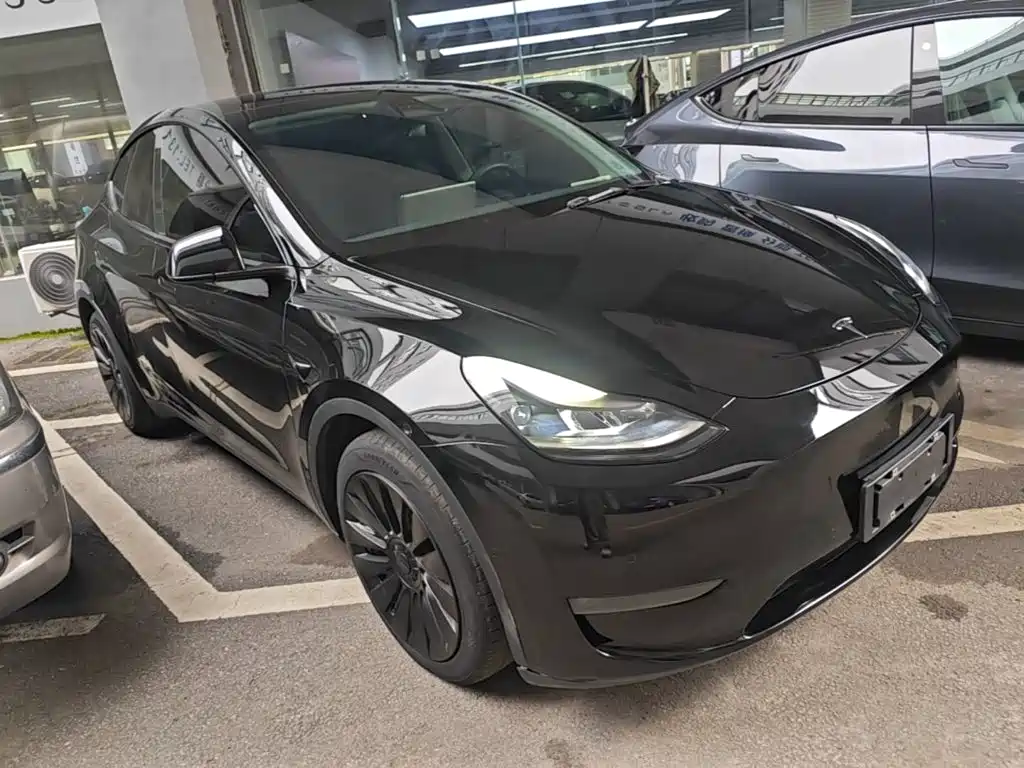 Tesla Model Y — миниатюра 4