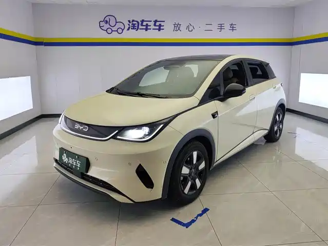 2025 BYD Dolphin