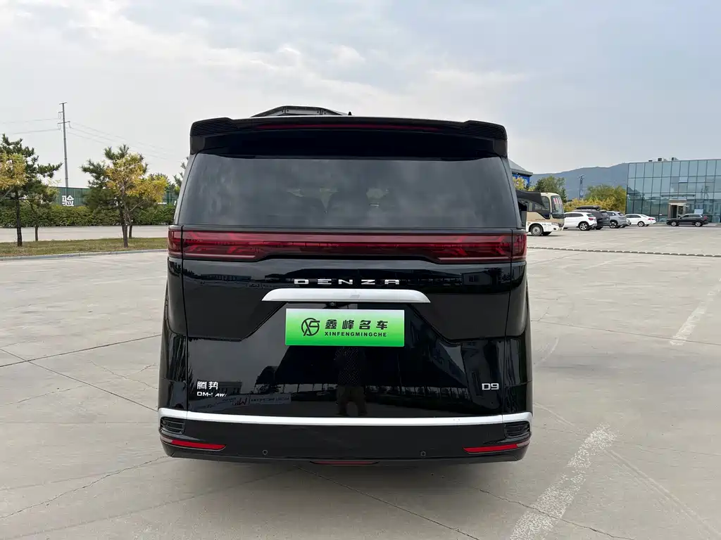 Denza Denza D9 — миниатюра 22