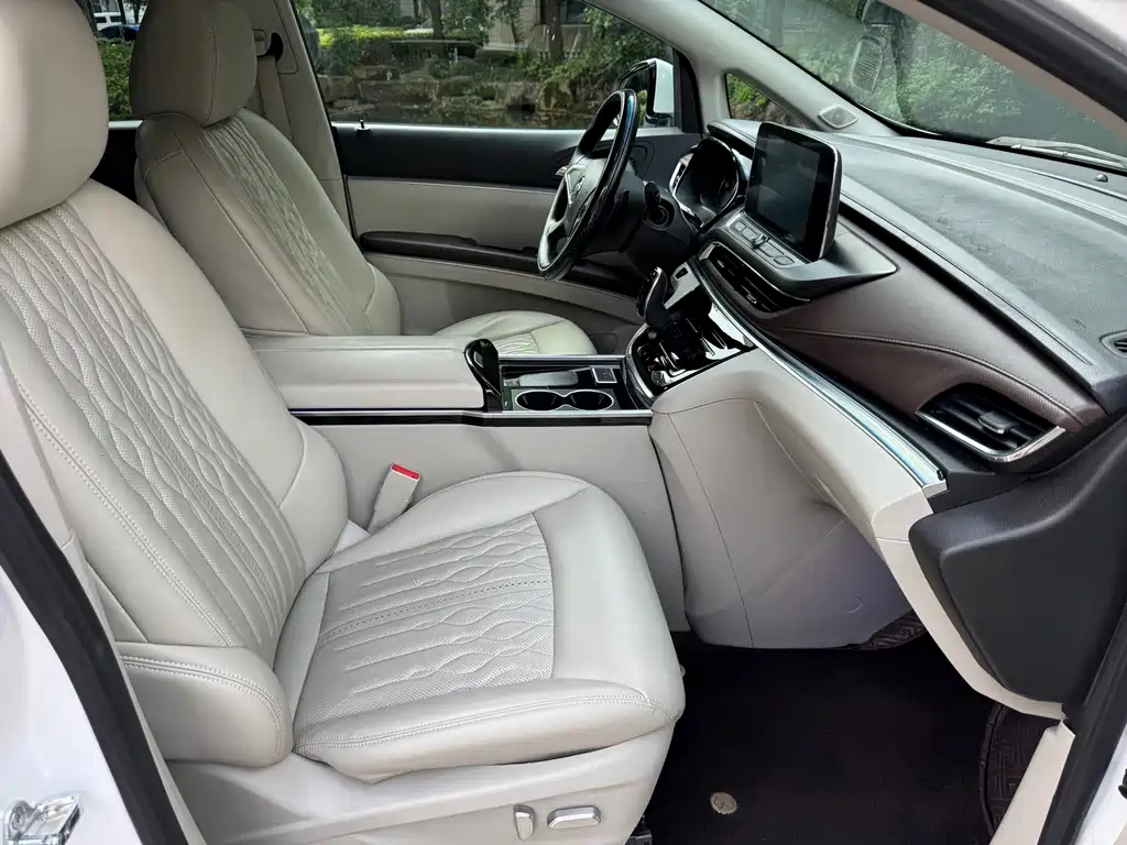 Buick GL8 — миниатюра 15
