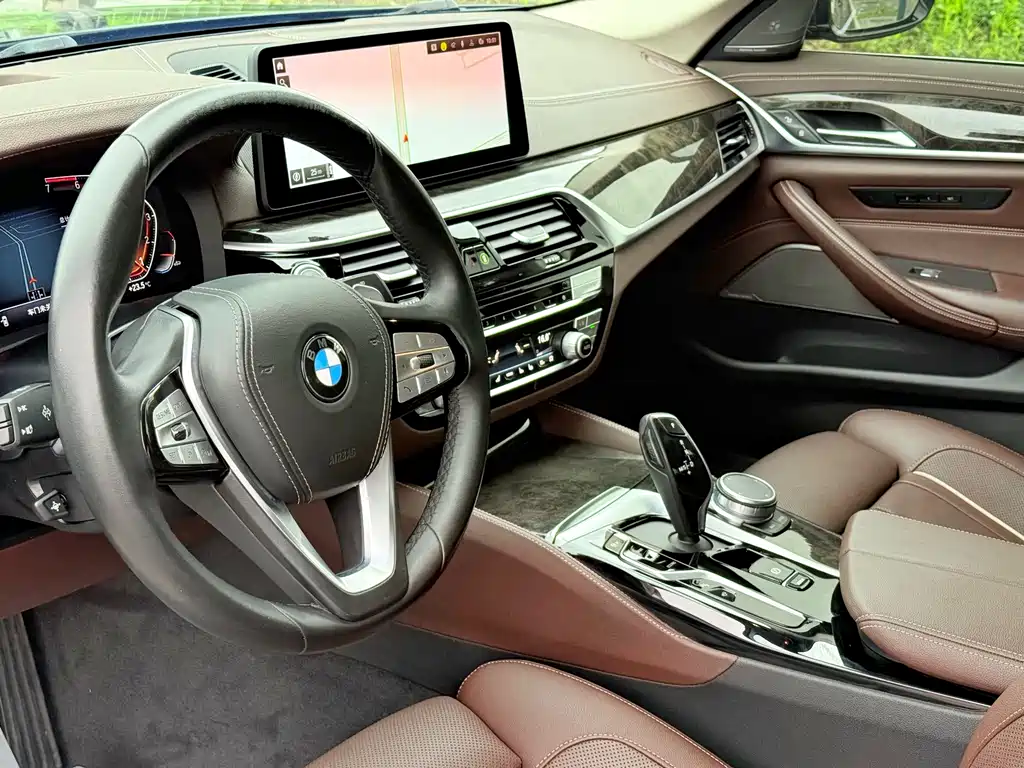 BMW 5 Series 5 2021 530Li Premium Luxury