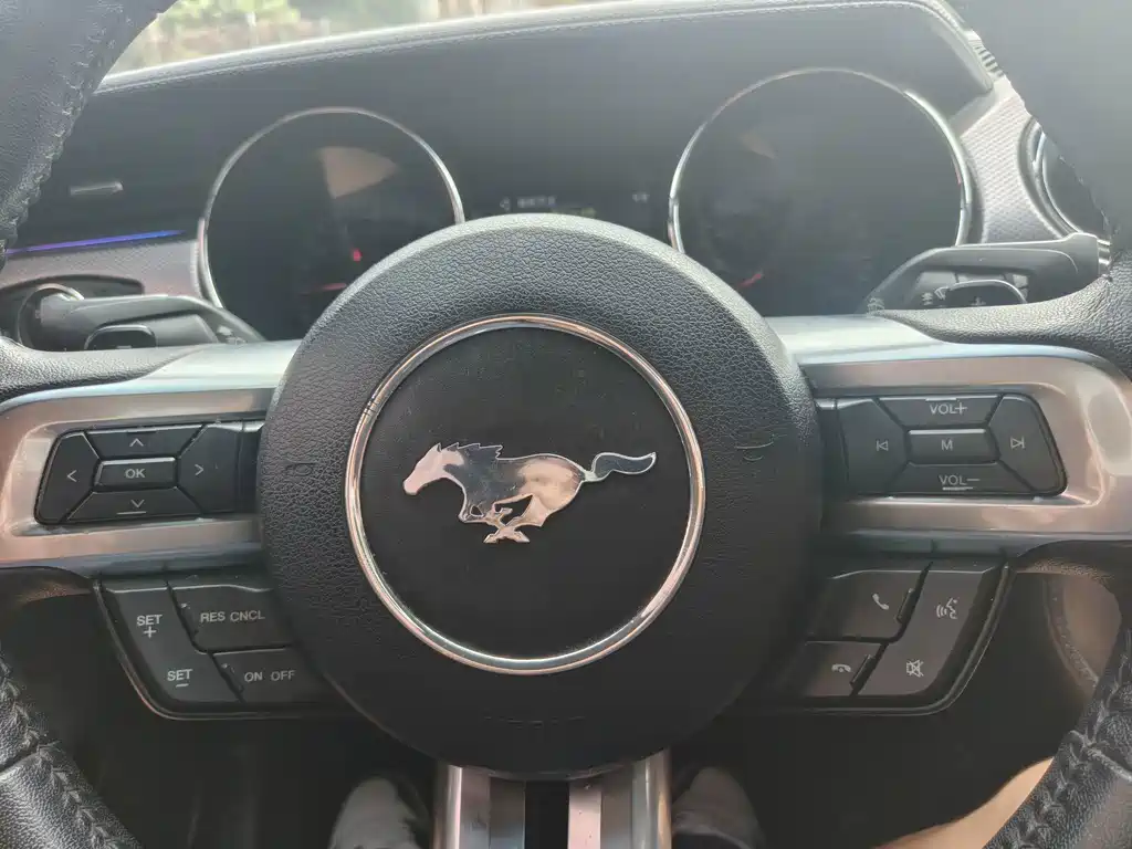 Ford Mustang — миниатюра 8