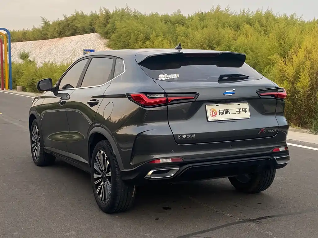 Oshan Oushang X5 — миниатюра 6