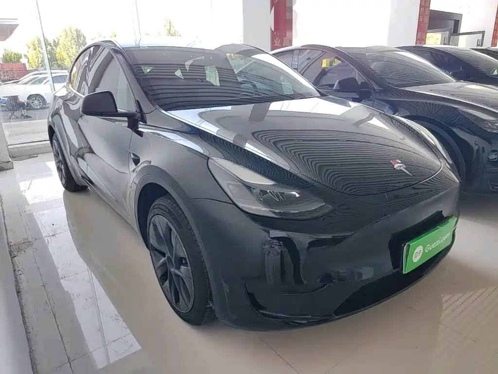 Tesla Model Y — миниатюра 4
