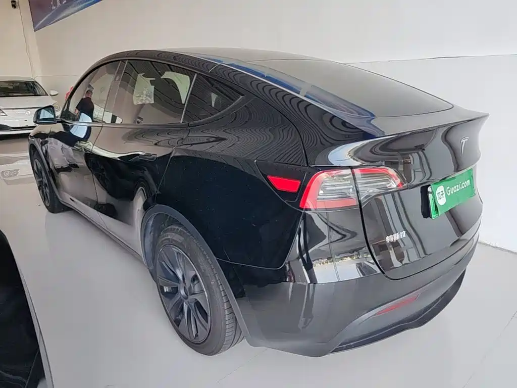 Tesla Model Y — миниатюра 5