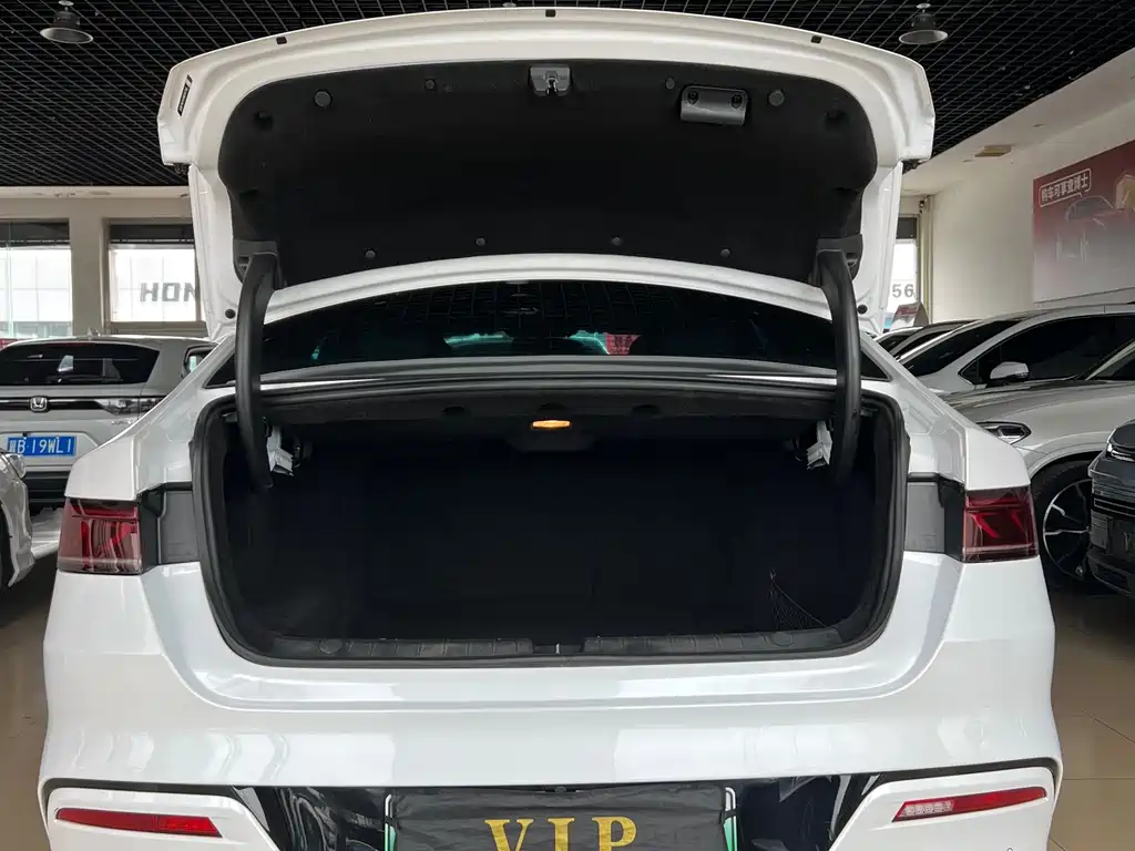 BYD Qin Plus PLUS 2021 DM-i 55KM Flagship