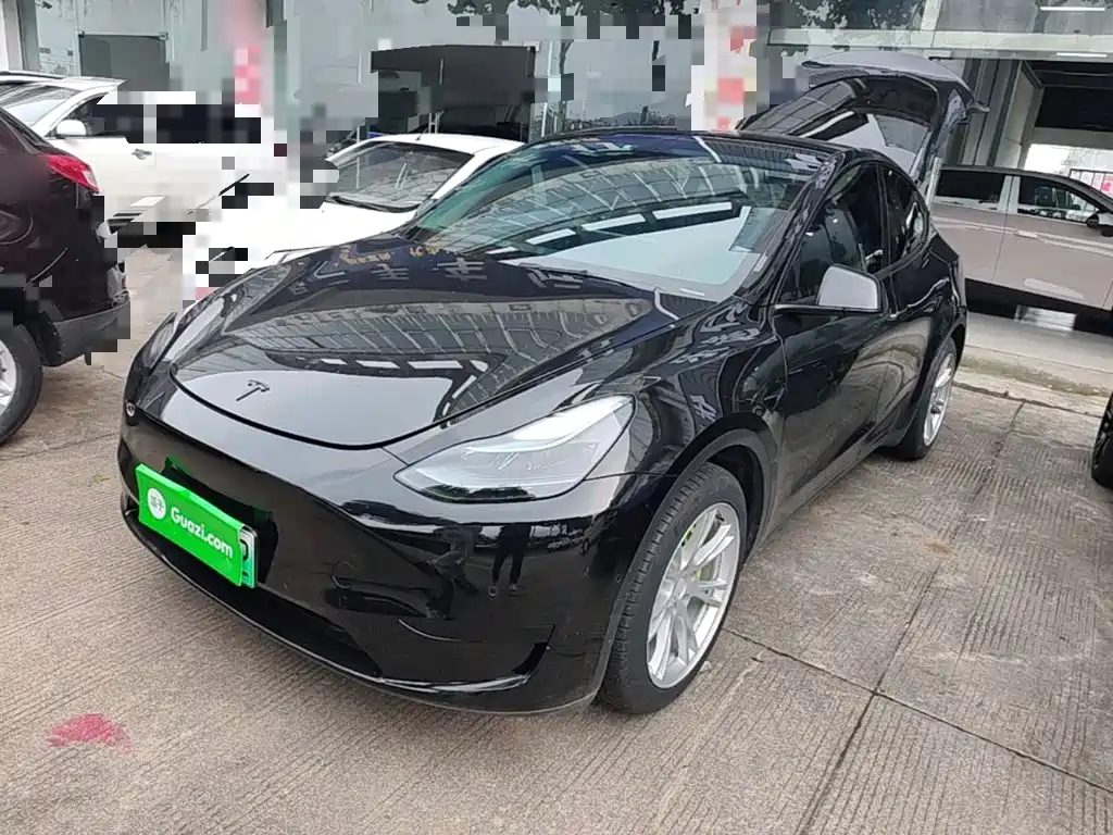 Tesla Model Y — миниатюра 2