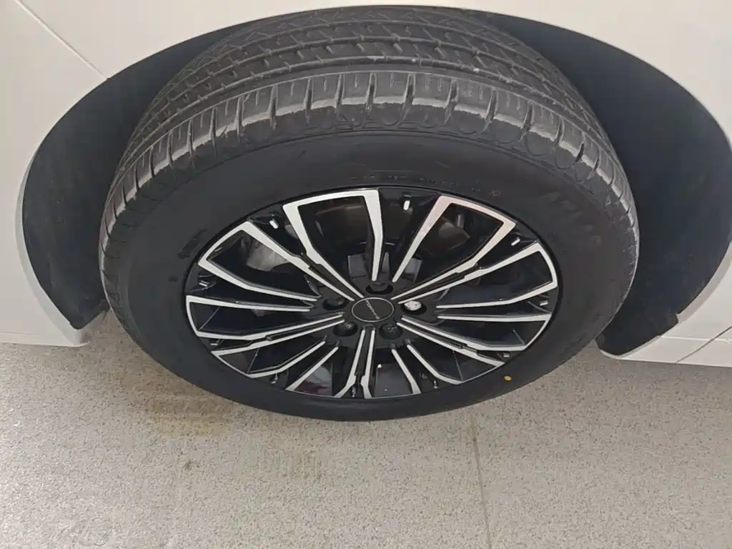 Fengxing Xinghai V9 — миниатюра 23