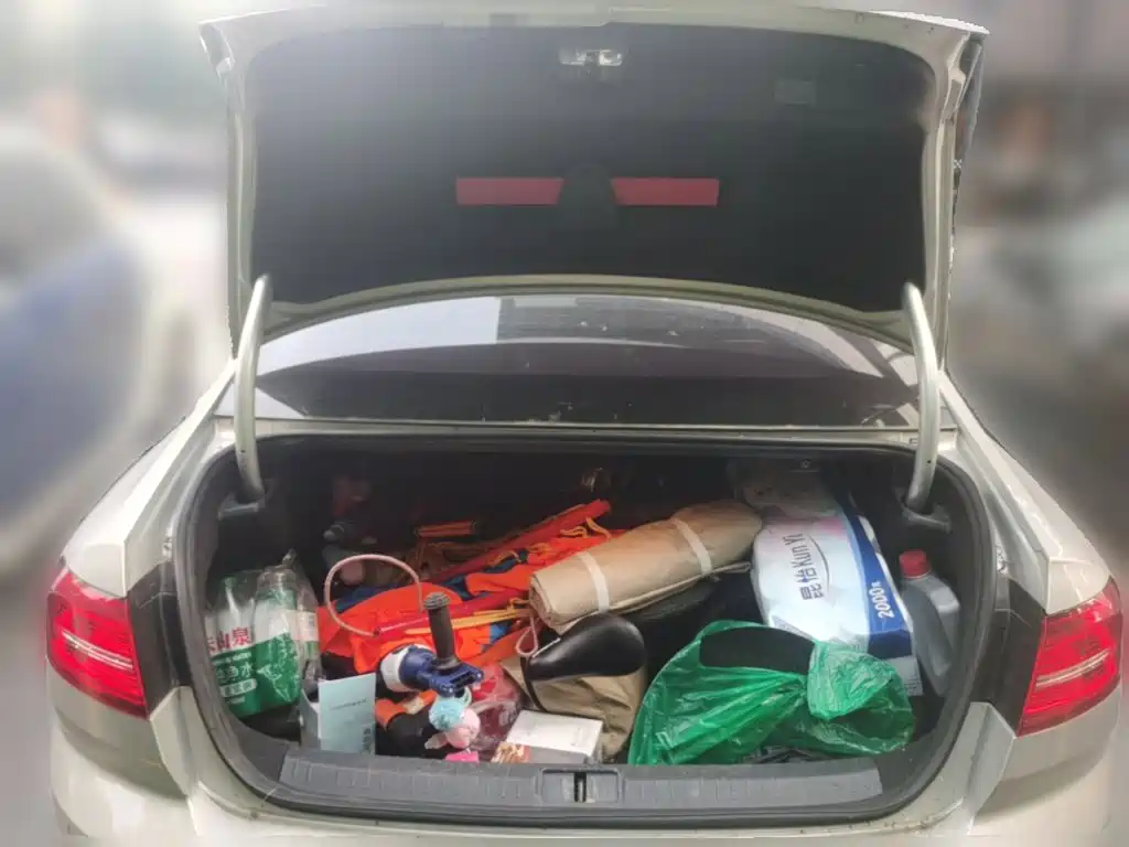 Volkswagen Magotan — миниатюра 10