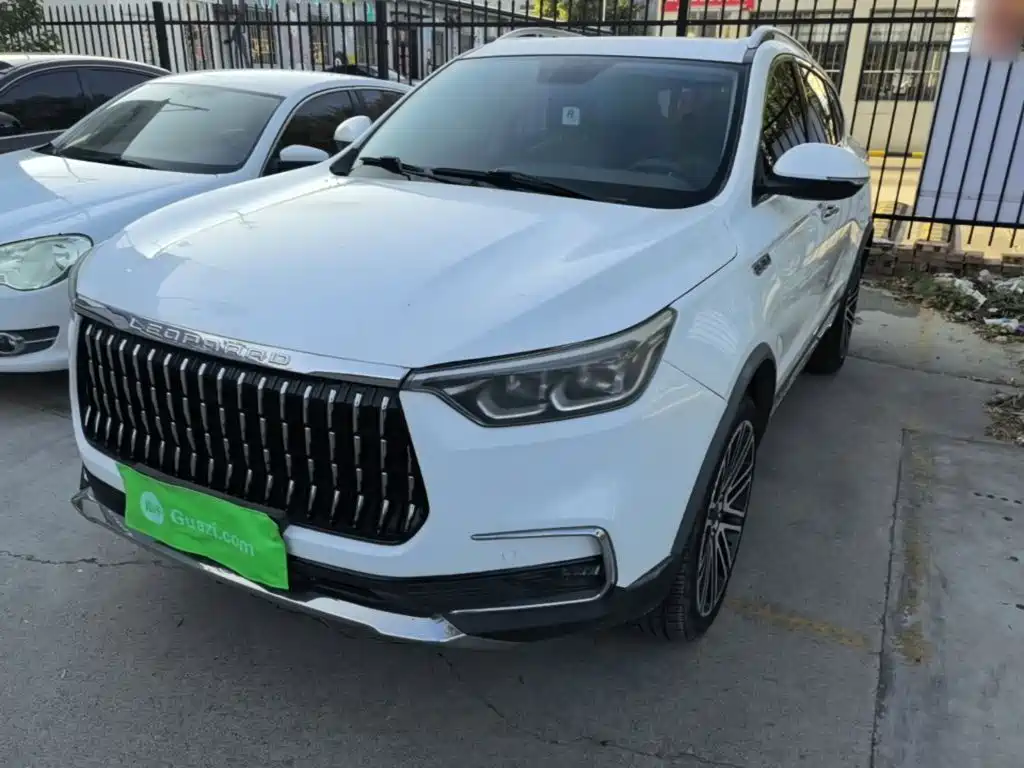 Leopaard Mattu — миниатюра 2