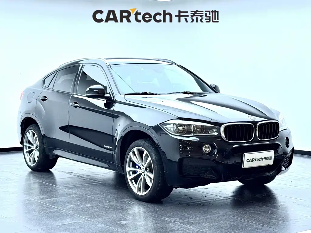 BMW X6 — миниатюра 3