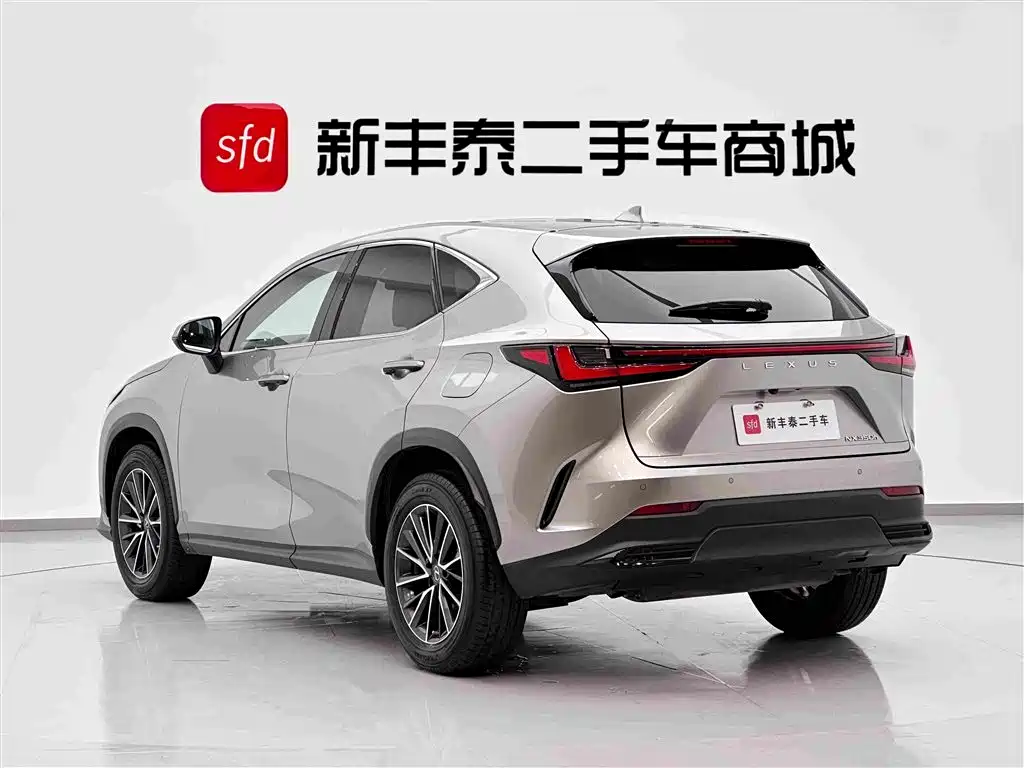 Lexus NX — миниатюра 6