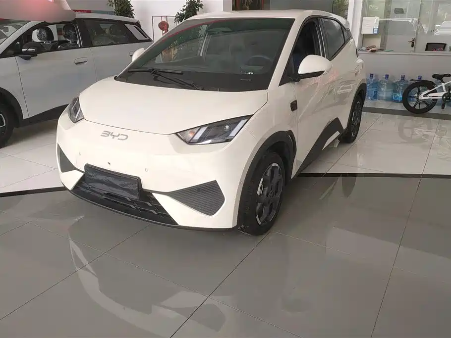 Byd Seagull 2025