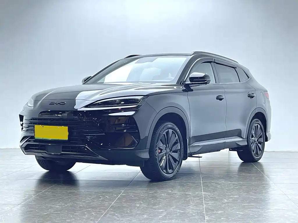 BYD PLUS New Energy 2024