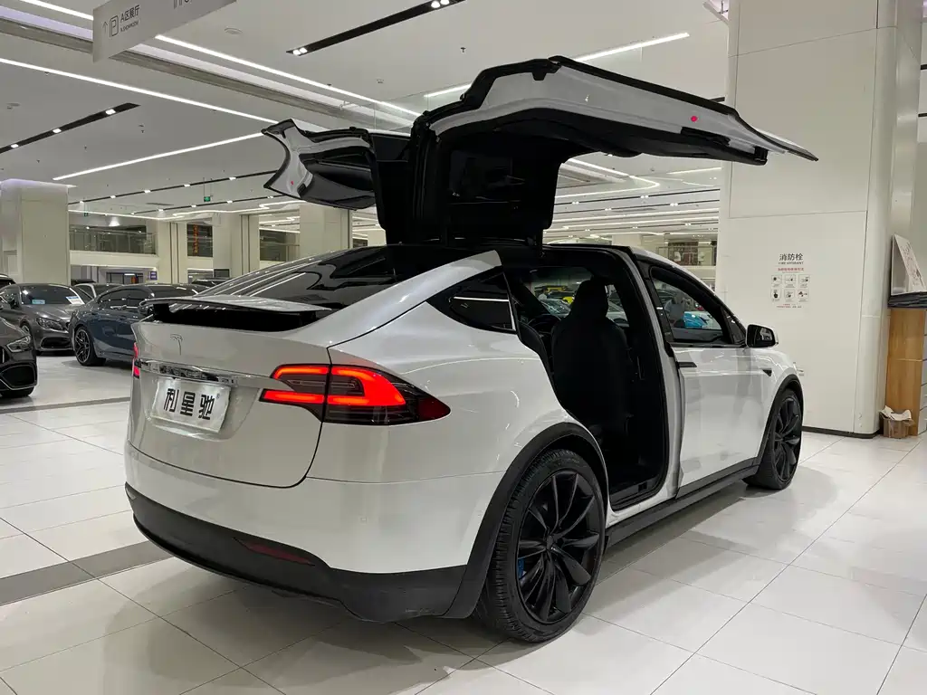 Tesla Model X — миниатюра 3