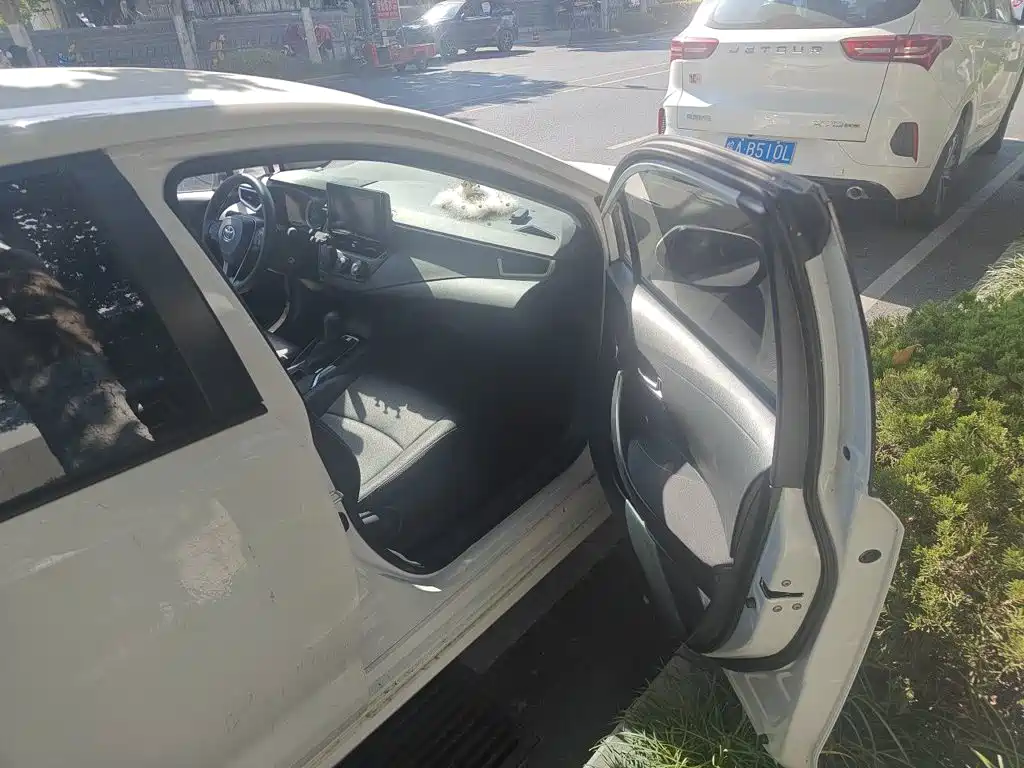 Toyota Corolla — миниатюра 19