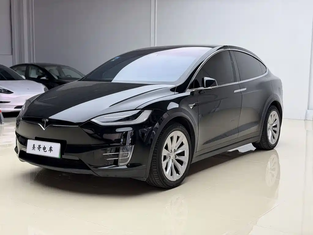 Tesla Model X 2019