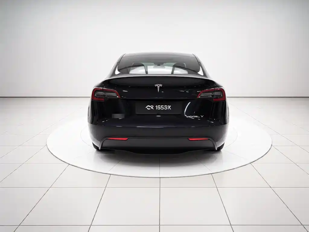 Tesla Model Y — миниатюра 3