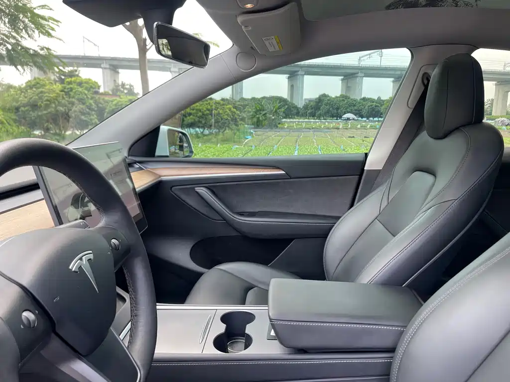 Tesla Model Y — миниатюра 20