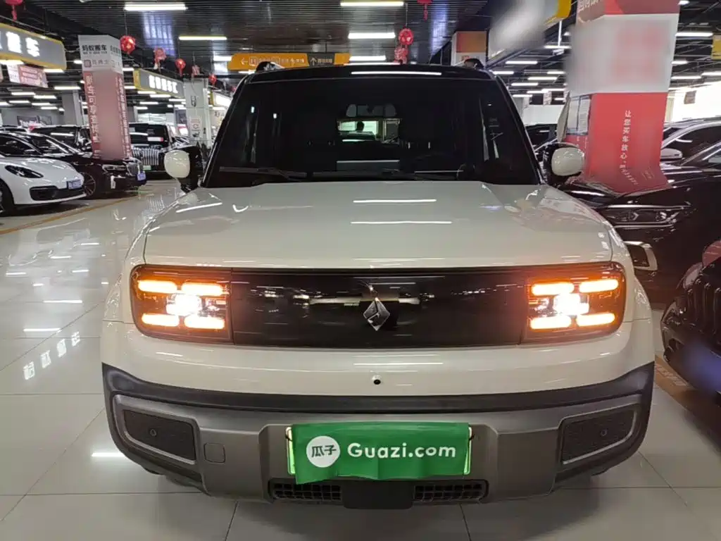 Baojun YepPlus Plus 2026 301km Flagship