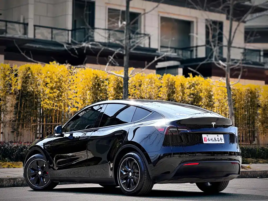 Tesla Model Y — миниатюра 11