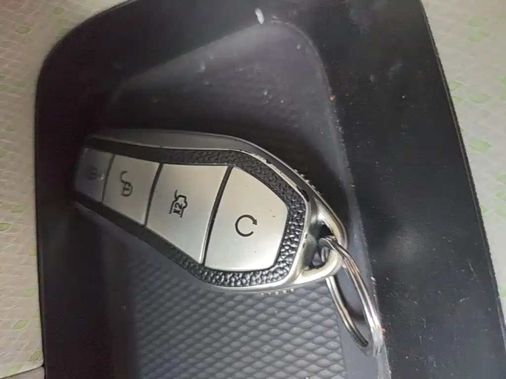 BYD Dolphin 2021 405km Freedom