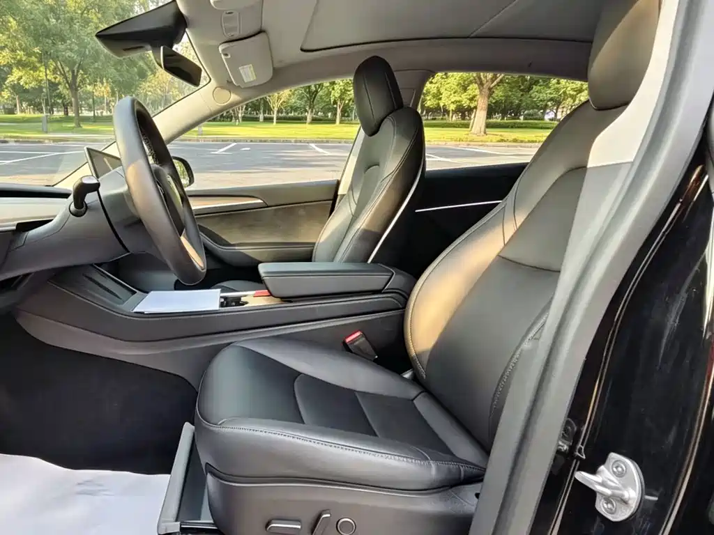Tesla Model Y — миниатюра 8