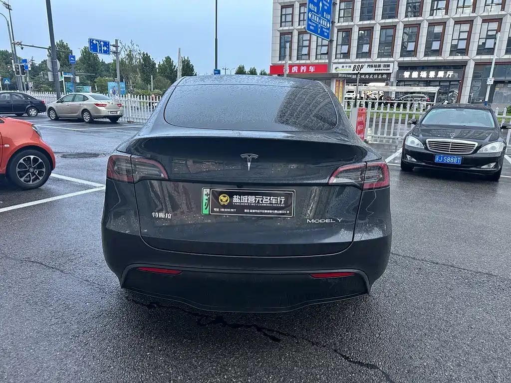 Tesla Model Y — миниатюра 9