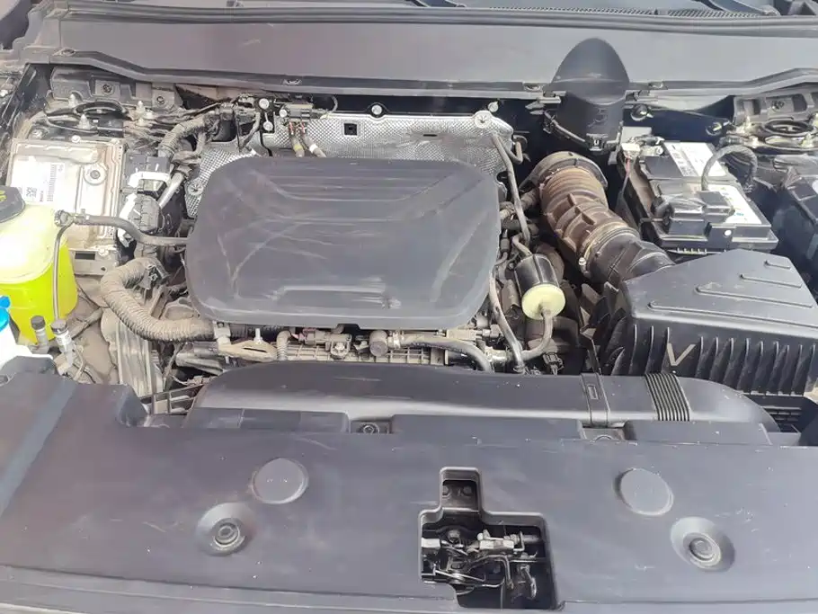 Haval Big Dog PLUS — миниатюра 10