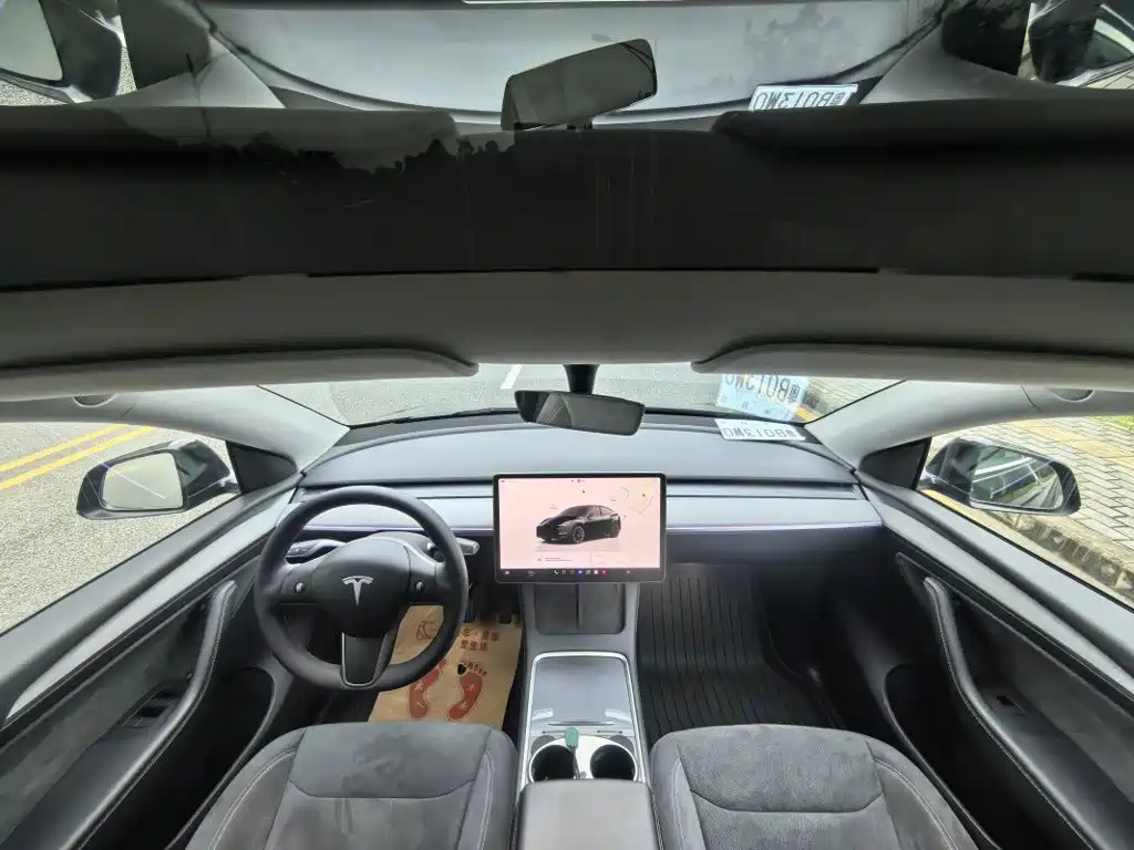 Tesla Model Y — миниатюра 3