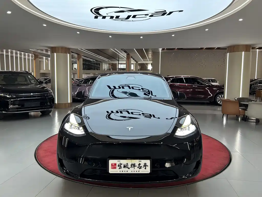 Tesla Model Y — миниатюра 2