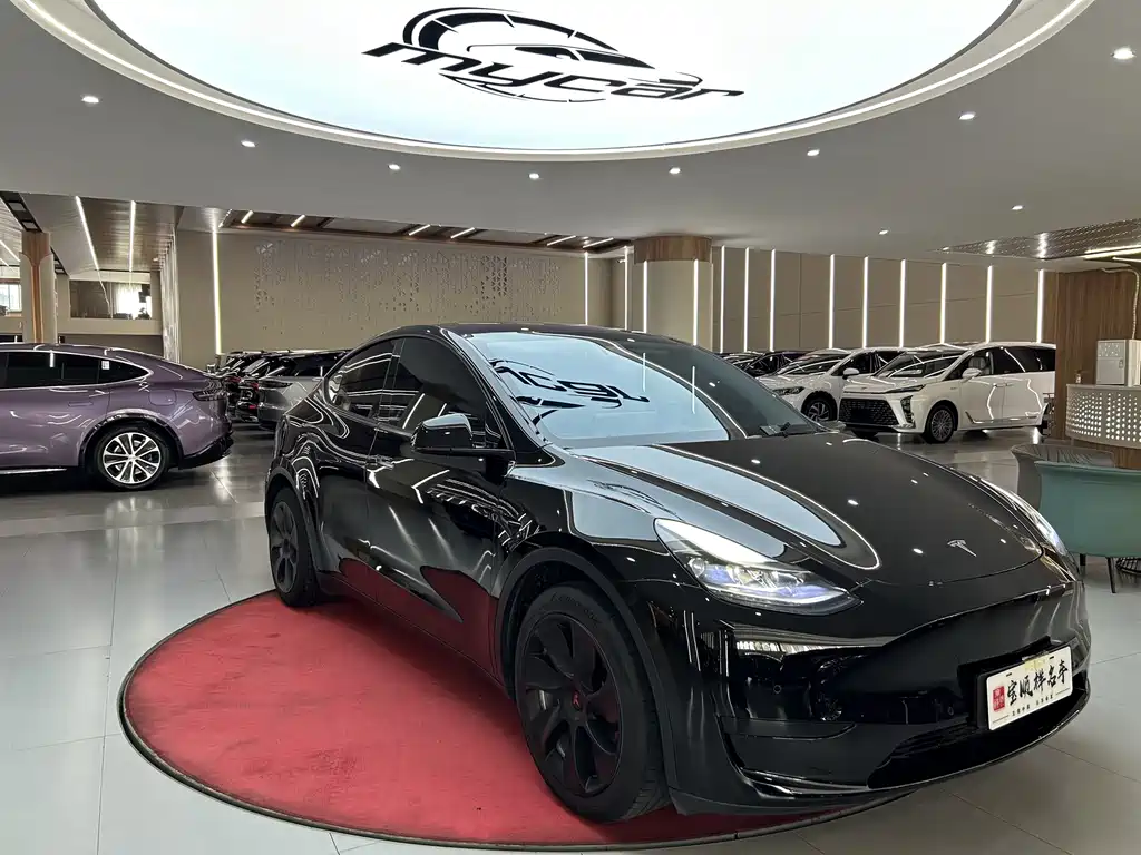 Tesla Model Y — миниатюра 3