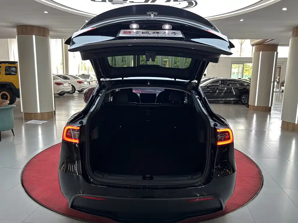 Tesla Model Y — миниатюра 35