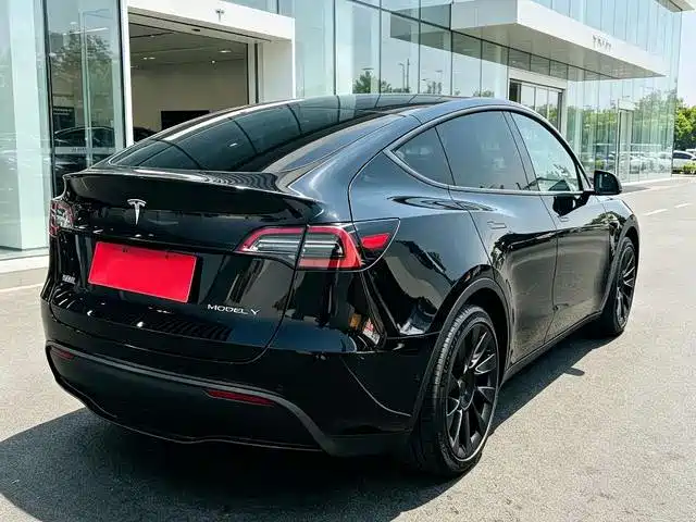 Tesla Model Y — миниатюра 7