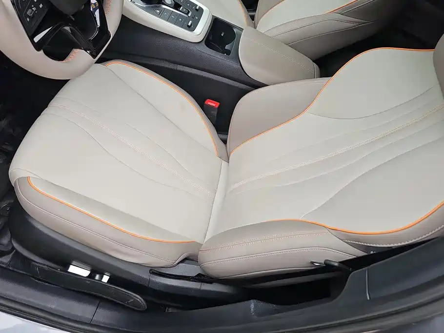 BYD Pro New Energy - фото 9