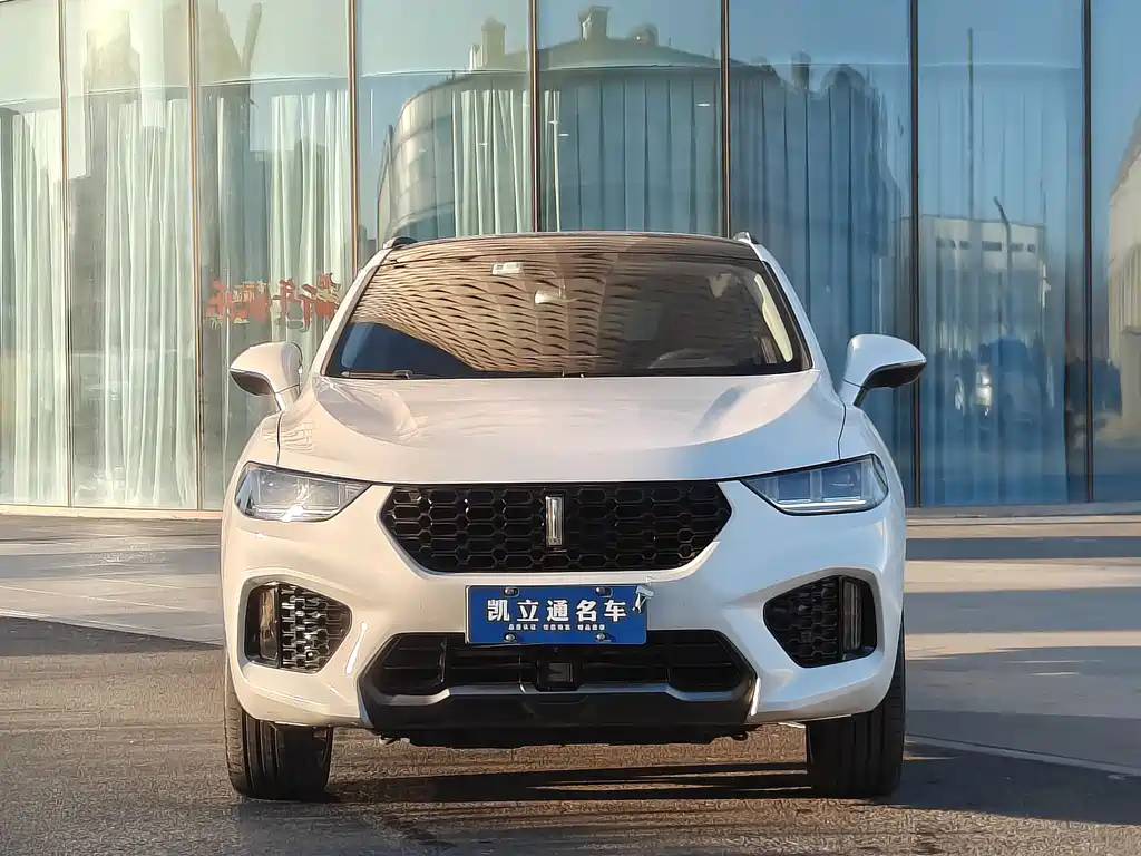 WEI PAI WEI BRAND VV5