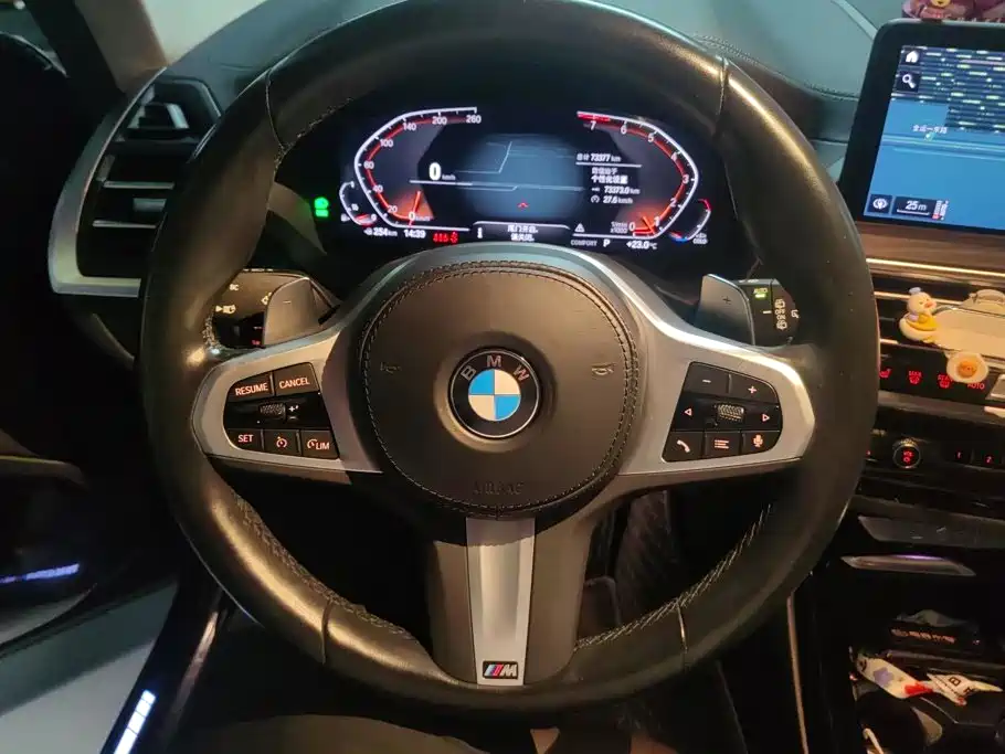 BMW X3 — миниатюра 15
