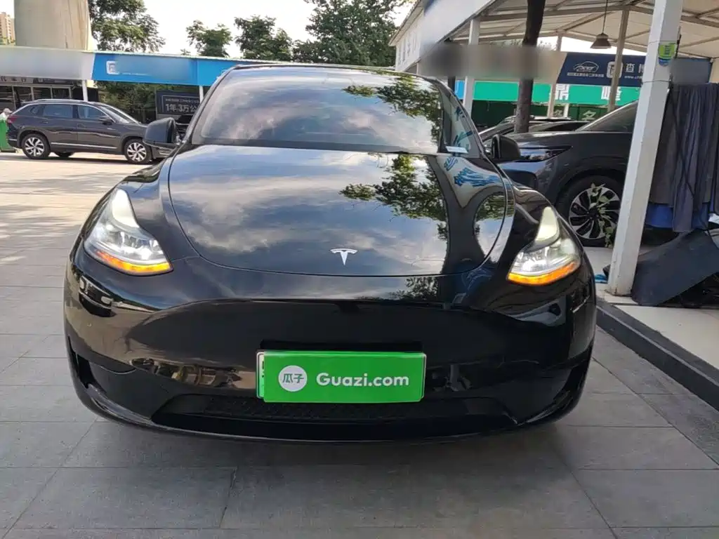 Tesla Model Y — миниатюра 3