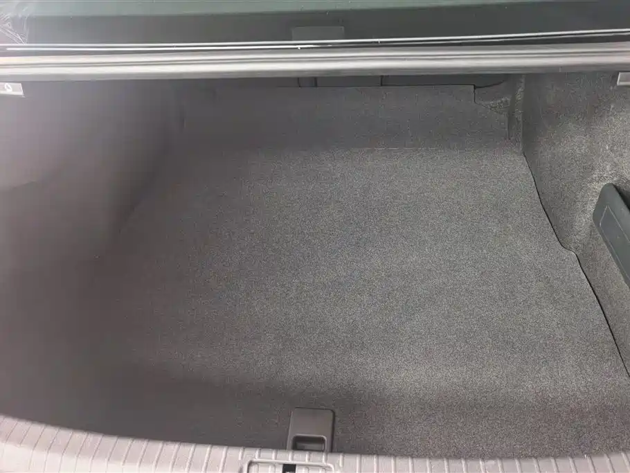 Volkswagen Magotan 2020 330TSI DSG Luxury