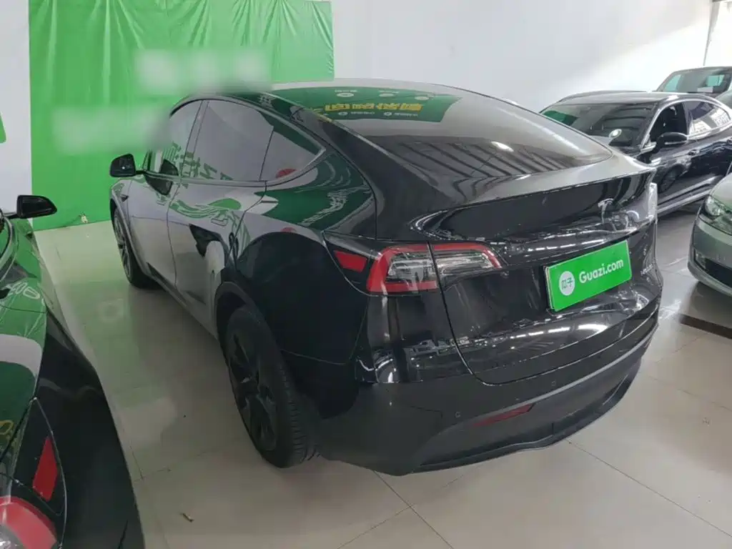 Tesla Model Y — миниатюра 5
