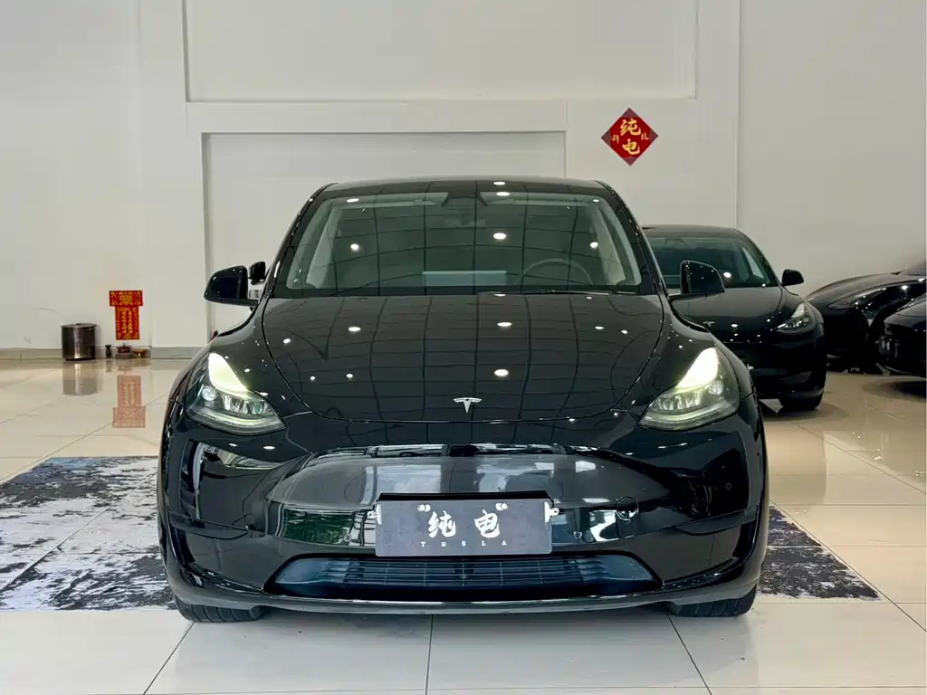 Tesla Model Y — миниатюра 2